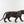 Load image into Gallery viewer, Life-Size Bronze Sculpture of a Walking Bengal Tiger by G. Van de Voorde