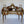Load image into Gallery viewer, French Palatial Louis XV Gilt Bronze Bureau-Plat Cartonnier '19th Century'