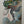 Load image into Gallery viewer, Set of 11 Framed Lithographs by Salvador Dalí