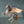 Load image into Gallery viewer, Colorful Herend Hungary Pegasus Figurine