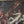 Load image into Gallery viewer, 18th C. French School Oil Painting of Mars & Venus w/ Putti in a Giltwood Frame.
