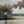 Load image into Gallery viewer, 19th Century Italian Oil on Canvas of a Lakeview