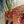 Load image into Gallery viewer, "Le Mur des Lamentations" Lithograph by Salvador