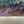 Load image into Gallery viewer, 19th Century Pastoral Landscape Oil Painting by F. Allen
