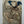 Load image into Gallery viewer, Set of 11 Framed Lithographs by Salvador Dalí