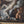 Load image into Gallery viewer, 18th C. French School Oil Painting of Mars & Venus w/ Putti in a Giltwood Frame.