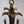 Load image into Gallery viewer, Charming Set of Six Brass Chandeliers