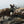 Load image into Gallery viewer, Late 19th Century Sculpture of Two Fighting Elks by P.J. Mêne