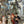 Load image into Gallery viewer, 19th Century "Italian Renaissance Party" Oil on Canvas by Carl Emil Doepler