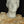 Load image into Gallery viewer, 19th Century Marble Sculpture of Augustus of Prima Porta by Andrea Navari