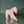 Load image into Gallery viewer, Herend Hungary Porcelain Animal Set of 4