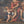 Load image into Gallery viewer, 18th C. French School Oil Painting of Mars & Venus w/ Putti in a Giltwood Frame.