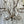 Load image into Gallery viewer, Venetian Rock Crystal Beaded Chandelier, Italy, c. 1950's