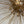 Load image into Gallery viewer, Pair of Vintage Italian Bronze Sputnik Chandeliers