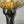 Load image into Gallery viewer, Pair of 19th C. Gilt Bronze Garnitures with Shell-Form Bowls Supported by Angels