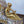 Load image into Gallery viewer, 19th Century Gilt Bronze Ormolu and Marble Clock Set