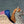 Load image into Gallery viewer, Colorful Herend Hungary Pegasus Figurine