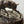 Load image into Gallery viewer, Late 19th Century Sculpture of Two Fighting Elks by P.J. Mêne