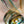 Load image into Gallery viewer, Murano Fish Sculpture by Sergio Costantini