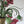 Load image into Gallery viewer, Flower Chandelier by Banci Firenze – Murano Glass & Gilt Iron, Italy, 1980's.