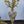 Load image into Gallery viewer, 19th Century Gilt Bronze Ormolu and Marble Clock Set