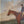 Load image into Gallery viewer, 18th Century "Highflyer" Painting by John N. Sartorius