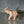 Load image into Gallery viewer, Herend Hungary Porcelain Animal Set of 4
