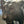 Load image into Gallery viewer, Life-Size Bronze Sculpture of a Walking Bengal Tiger by G. Van de Voorde