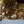 Load image into Gallery viewer, 18th C. French School Oil Painting of Mars & Venus w/ Putti in a Giltwood Frame.