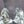 Load image into Gallery viewer, Clear Murano Glass Horse Sculpture by Arnaldo Zanella