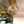 Load image into Gallery viewer, Murano Fish Sculpture by Sergio Costantini