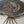 Load image into Gallery viewer, Pair of 20th Century Russian Ammonite Side Tables