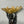 Load image into Gallery viewer, Pair of 19th C. Gilt Bronze Garnitures with Shell-Form Bowls Supported by Angels