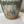 Load image into Gallery viewer, Antique Late 19th Century Chinese Rose Medallion Shouldered Vase
