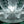 Load image into Gallery viewer, Lalique "Cactus" Center Table, 20th Century