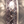 Load image into Gallery viewer, Set of Five Canale Murano Glass Sconces by Barovier e Toso. Italy, 1960's