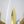 Load image into Gallery viewer, Set of Six Vintage Sconces w/ Obelisk Shaped Marble on Brass Frame