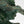 Load image into Gallery viewer, "Emerald Dream" Bronze Sculpture by Jiang Tie Feng (1991)