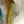 Load image into Gallery viewer, Murano Fish Sculpture by Sergio Costantini