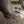 Load image into Gallery viewer, Life-Size Bronze Sculpture of a Walking Bengal Tiger by G. Van de Voorde