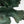 Load image into Gallery viewer, "Emerald Dream" Bronze Sculpture by Jiang Tie Feng (1991)