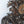 Load image into Gallery viewer, Mid-19th Century German Hand-Carved Maple Clock with Pheasants