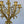Load image into Gallery viewer, 19th Century Gilt Bronze Ormolu and Marble Clock Set