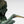 Load image into Gallery viewer, "Emerald Dream" Bronze Sculpture by Jiang Tie Feng (1991)