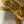 Load image into Gallery viewer, Pair of 19th C. Mythological Bronze Sculptures of Salacia & Hephaestus by H Vian