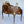 Load image into Gallery viewer, French Palatial Louis XV Gilt Bronze Bureau-Plat Cartonnier '19th Century'