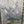 Load image into Gallery viewer, Set of Eight Chinese Inspired Panels by Robert Crowder