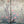 Load image into Gallery viewer, Set of Eight Chinese Inspired Panels by Robert Crowder