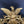 Load image into Gallery viewer, 19th Century American Federal Large Full Eagle Bullseye Mirror