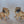 Load image into Gallery viewer, German Pair of Dresden Male & Female Bulldog Porcelain Figures